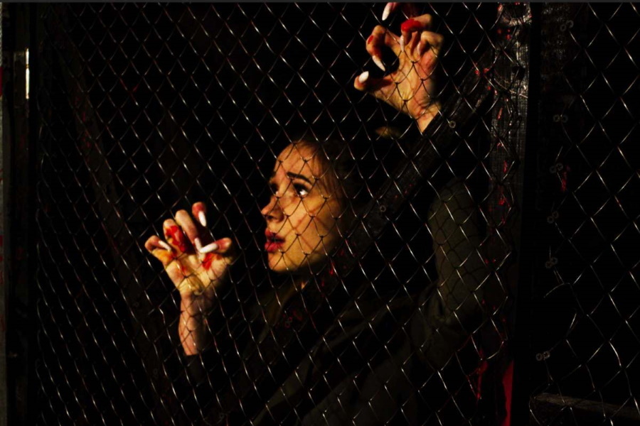 Квест в реальности Резня от компании Real Quest Квест в реальности Резня от компании Real Quest