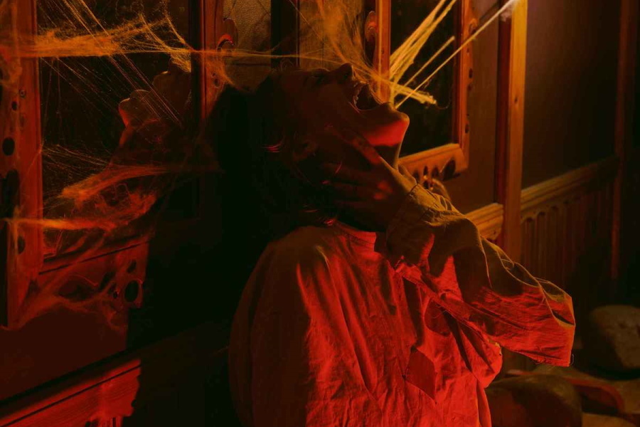 Квест в реальности Безумие от компании Quest Company Квест в реальности Безумие от компании Quest Company